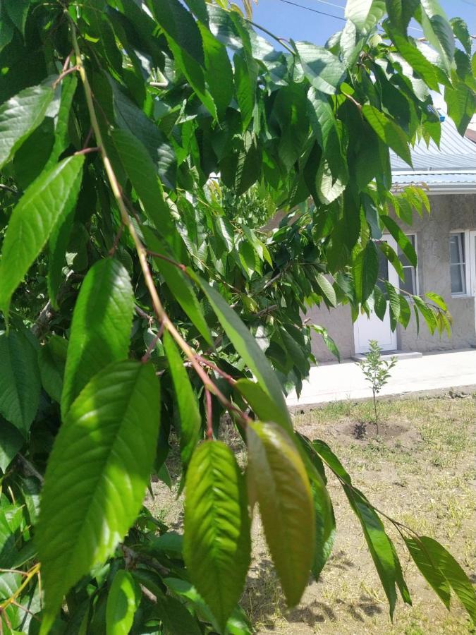 Vanand Guest House Gyumri ภายนอก รูปภาพ